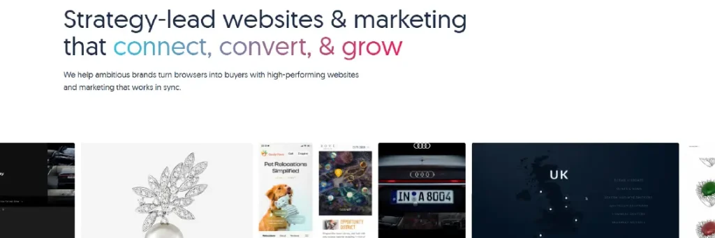 Blue Beetle Blue Beetle