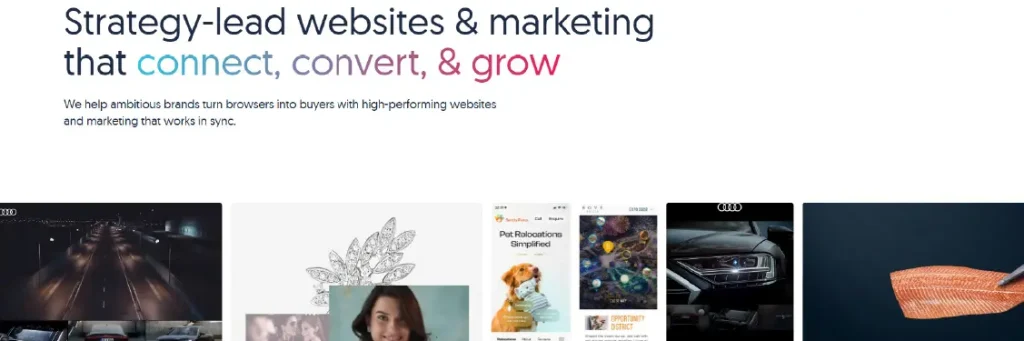 blue beetle blue beetle - website design company