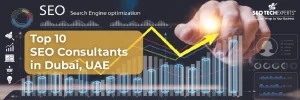 SEO Consultants