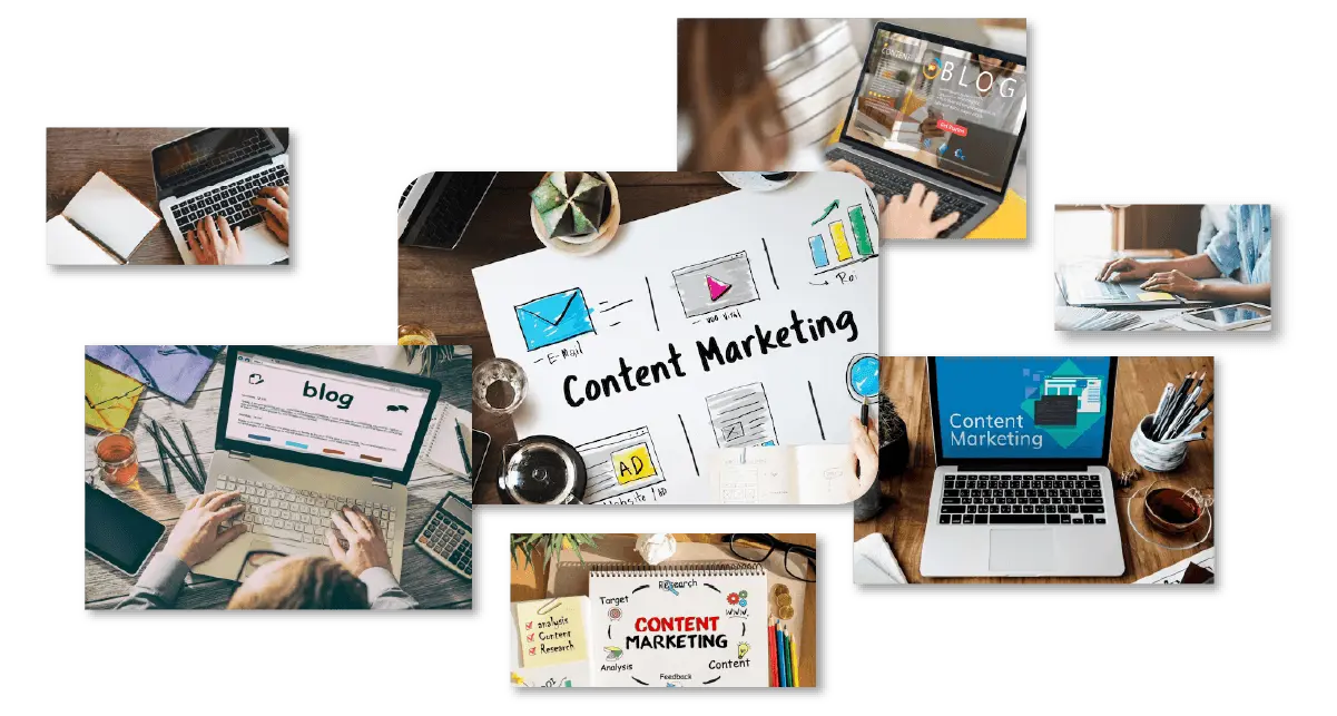 why choose wordpress dubai