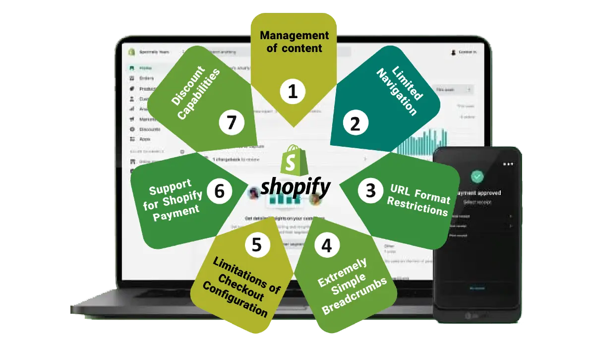 Shopify Management and Marketing in Dubai